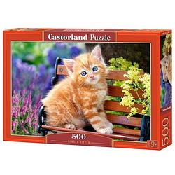 Foto van Castorland legpuzzel ginger kitten 500 stukjes