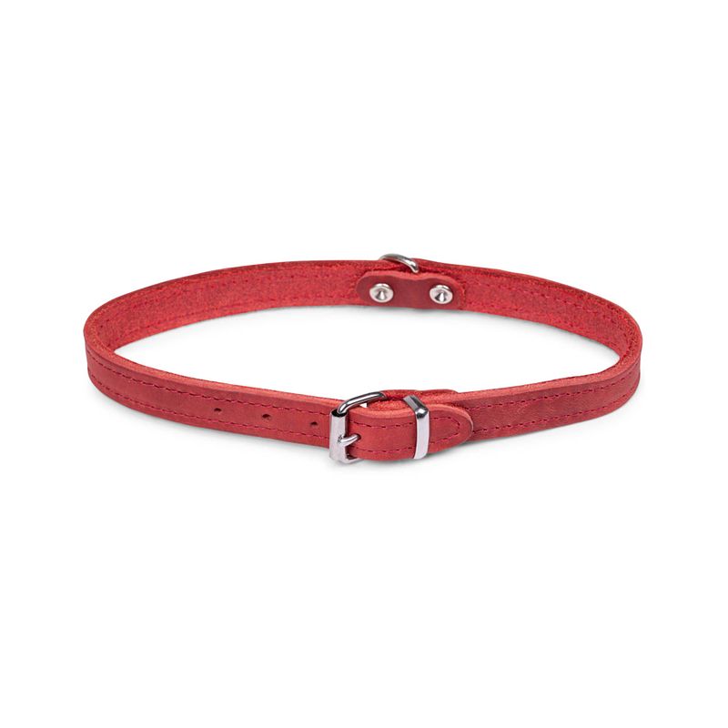 Foto van Dierenbenodigdheden vadigran halsband hond geolied leder rood 42cmx16mm m