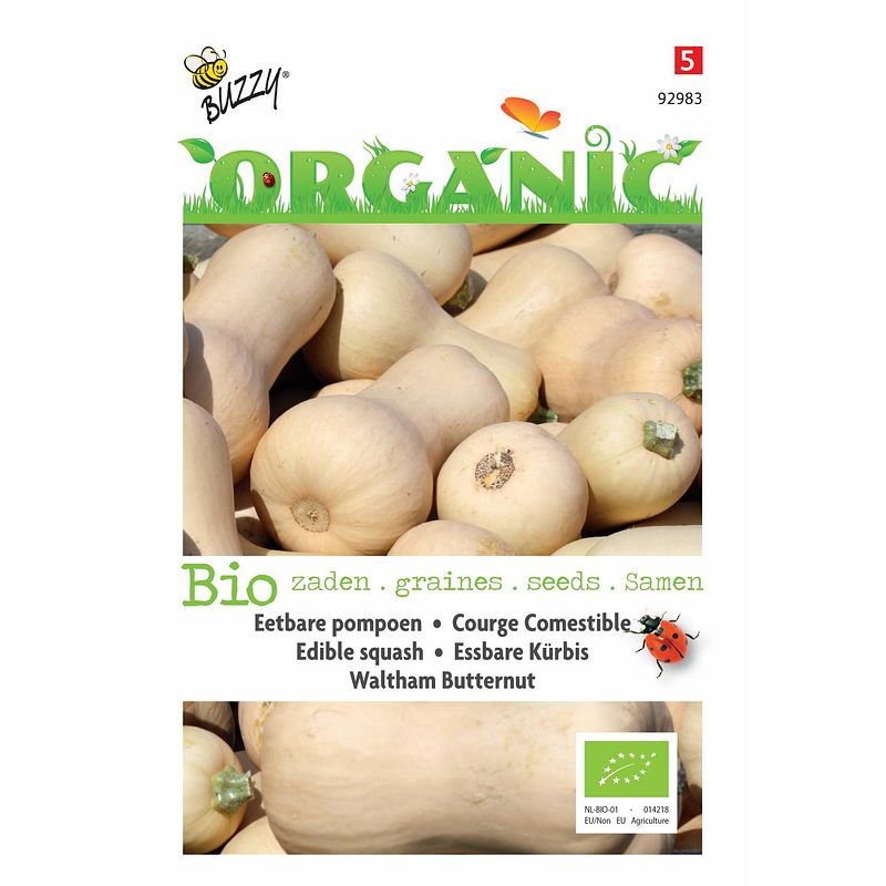 Foto van 5 stuks organic wintersquash waltham butternut (skal 14275)