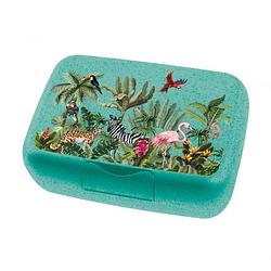 Foto van Koziol lunchbox candy jungle