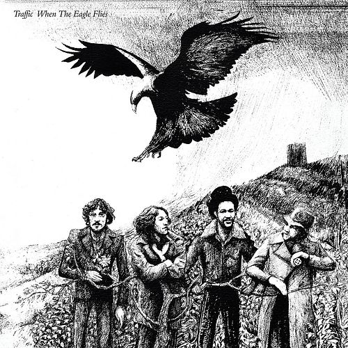 Foto van When the eagle flies - lp (0602577512599)