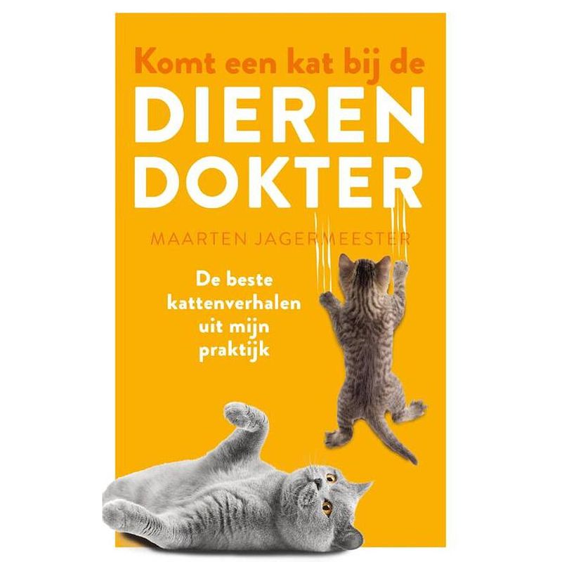 Foto van Komt een kat bij de dierendokter