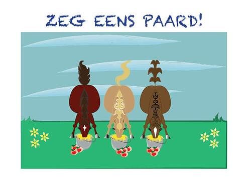 Foto van Zeg eens paard! - hardcover (9789090332765)