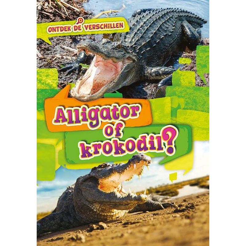 Foto van Alligator of krokodil?