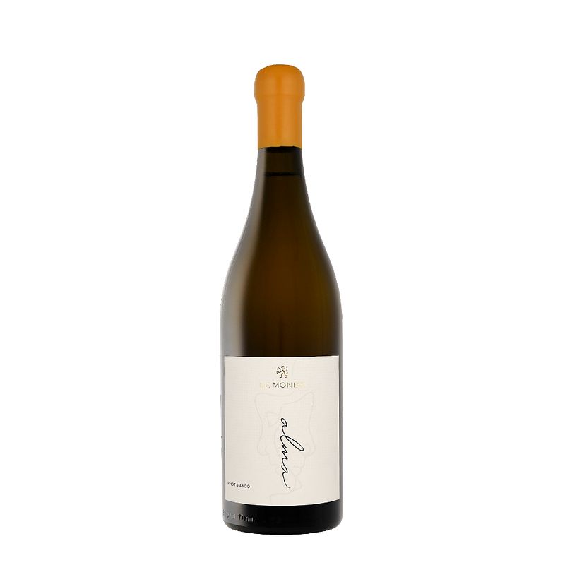 Foto van Le monde alma pinot bianco 2019 75cl wijn