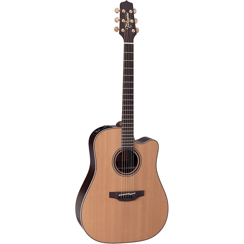 Foto van Takamine natural series dn15c e/a westerngitaar met koffer