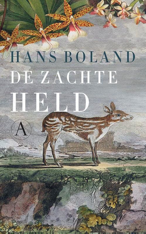 Foto van De zachte held - hans boland - ebook (9789025303686)