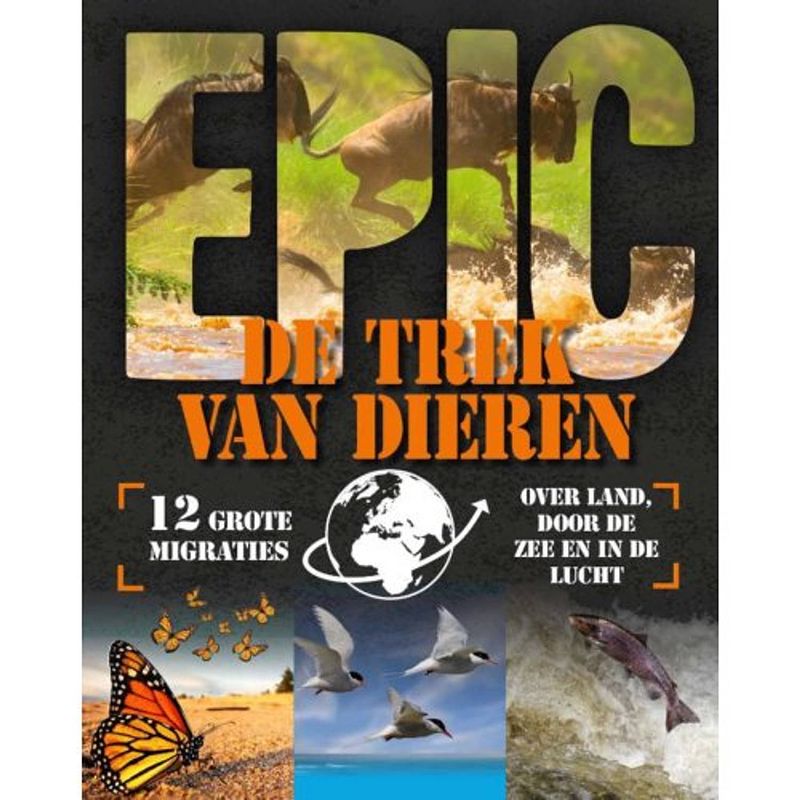 Foto van De trek van dieren - epic!