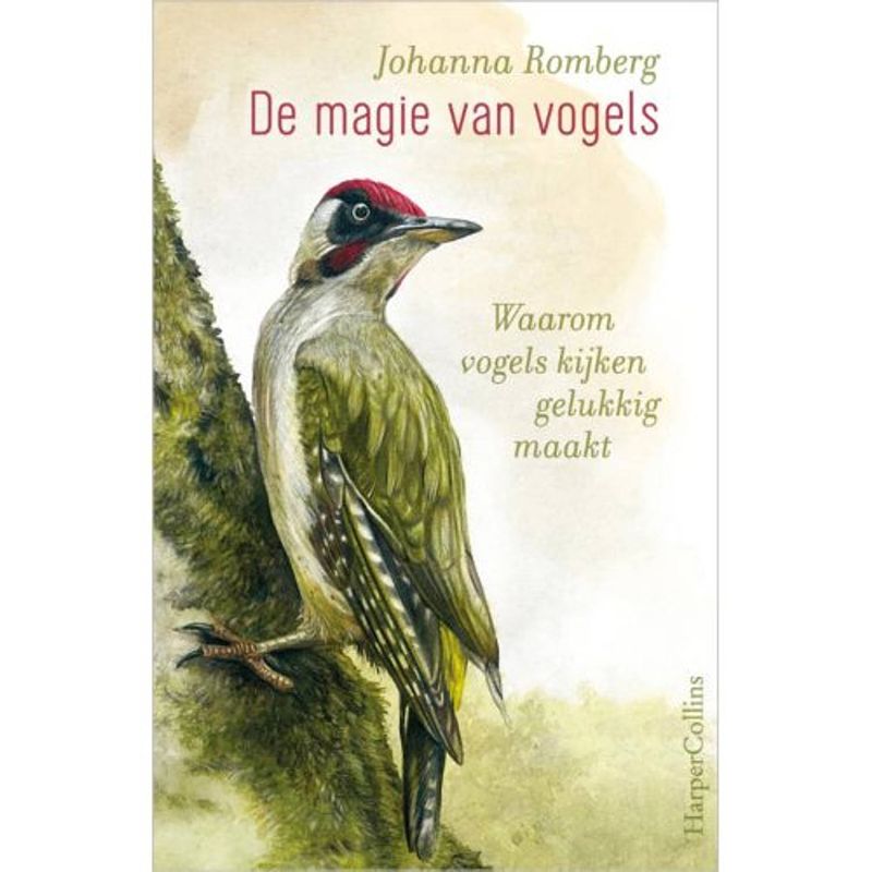 Foto van De magie van vogels