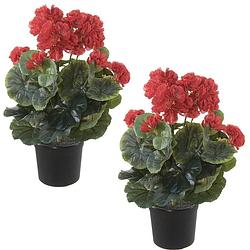 Foto van Set van 2x stuks rode geranium pelargonium graveolens kunstplanten in zwarte kunststof pot 35 cm - kunstplanten