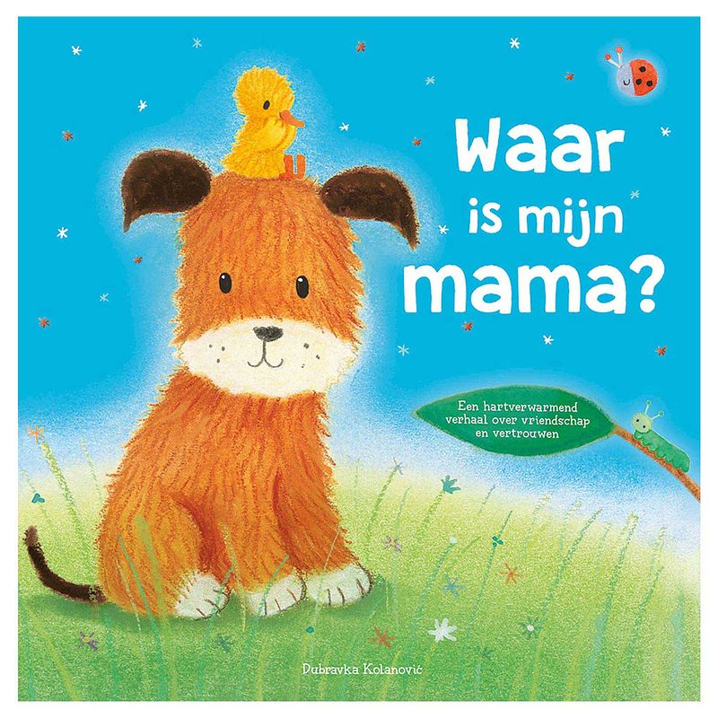 Foto van Rebo productions kinderboek waar is mijn mama? junior