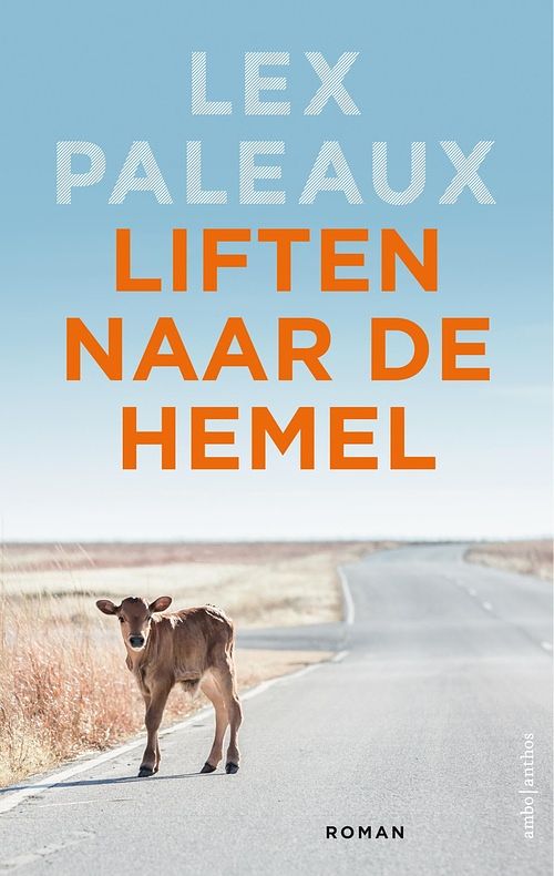 Foto van Liften naar de hemel - lex paleaux - ebook