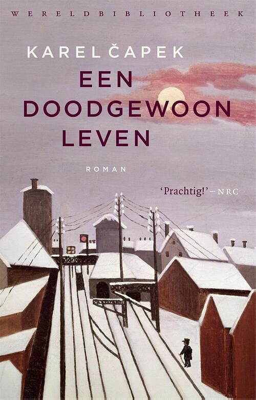 Foto van Een doodgewoon leven - karel capek - ebook (9789028442016)