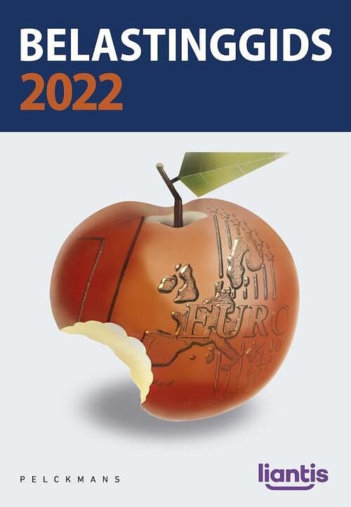 Foto van Belastinggids 2022 - pieter debbaut - paperback (9789464018066)