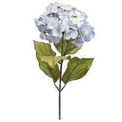 Foto van Kunstbloem hortensia - blauw - 65 cm - leen bakker