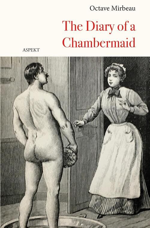 Foto van The diary of a chambermaid - octave mirbeau - ebook (9789464621631)