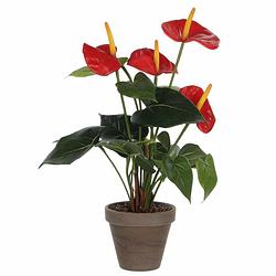 Foto van Kunstplant anthurium rood flamingoplant in pot 40 cm - kunstplanten