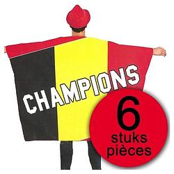 Foto van 6 stuks vlag cape belgiv´ champions 150x110cm