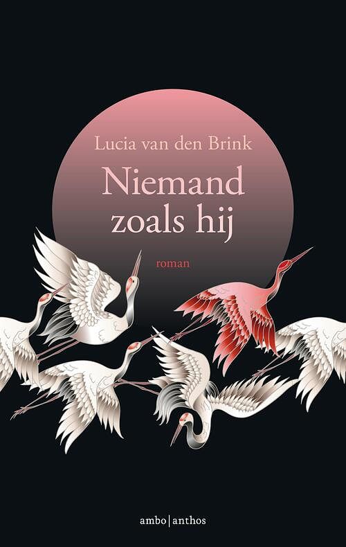 Foto van Niemand zoals hij - lucia van den brink - ebook (9789026347580)