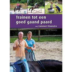 Foto van Trainen tot een goed gaand paard