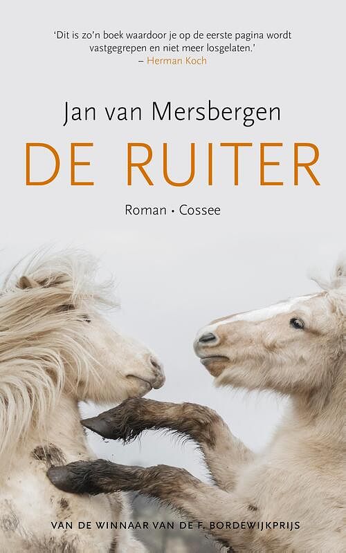 Foto van De ruiter - jan van mersbergen - ebook (9789059366664)