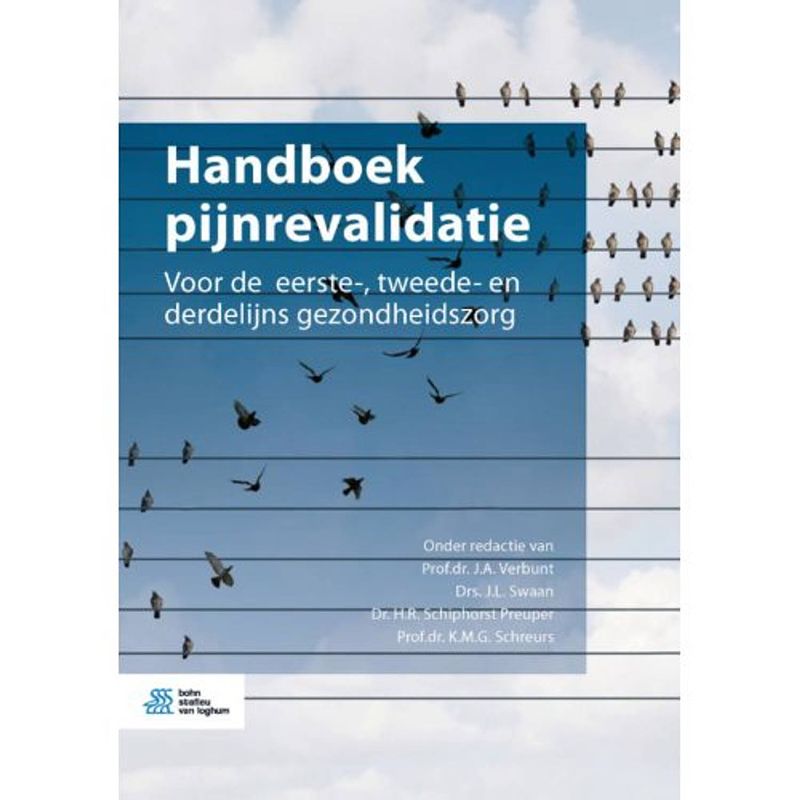 Foto van Handboek pijnrevalidatie