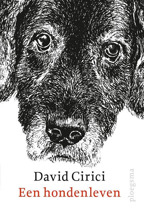 Foto van Een hondenleven - david cirici - ebook (9789021677965)