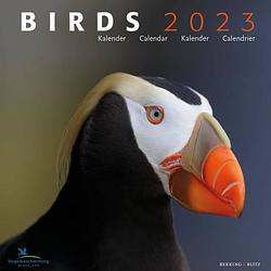 Foto van Birds kalender 2023