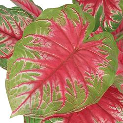 Foto van The living store caladium kunstplant - 85 cm - levensecht - groen en rood - kunststof bladeren - houten stam -