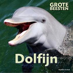 Foto van Dolfijn - grote beesten