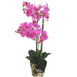 Foto van Levensechte kunst orchidee / phalaenopsis plant 75 cm met pot - roze kunst orchidee - kunstplanten