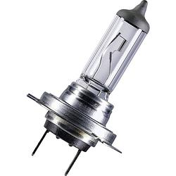 Foto van Osram auto 64210 55w halogeenlamp standard h7 55 w 12 v