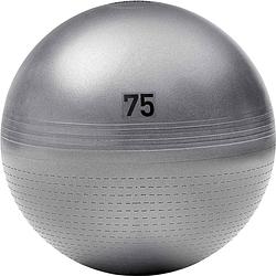 Foto van Gymbal adidas 75cm solid grey