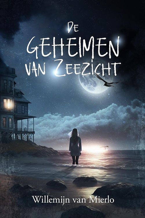 Foto van De geheimen van zeezicht - willemijn van mierlo - ebook