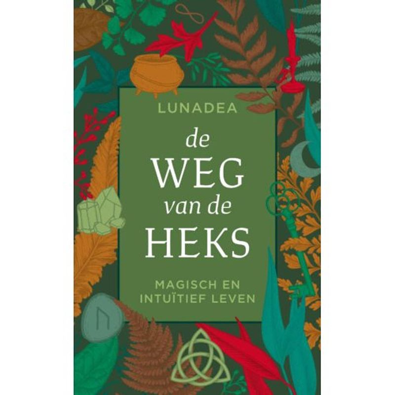 Foto van De weg van de heks