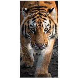Foto van Animal pictures strandlaken tijger - 70 x 140 cm - katoen
