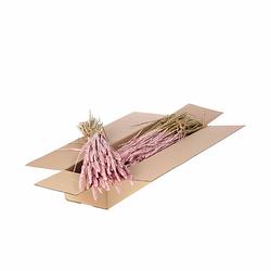 Foto van Packlinq gedroogde bloemen roze mistig tarwe (triticum) (1 bundel)