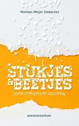 Foto van Stukjes en beetjes - marloes meijer - ebook (9789023954866)