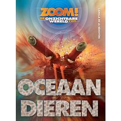 Foto van Oceaandieren - zoom!