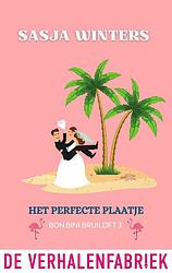 Foto van Het perfecte plaatje - sasja winters - ebook