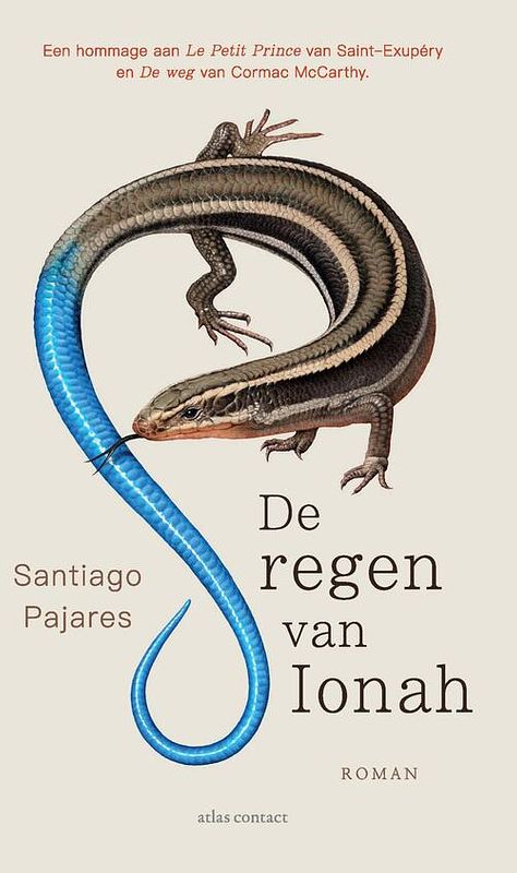 Foto van De regen van ionah - santiago pajares - ebook (9789025448547)