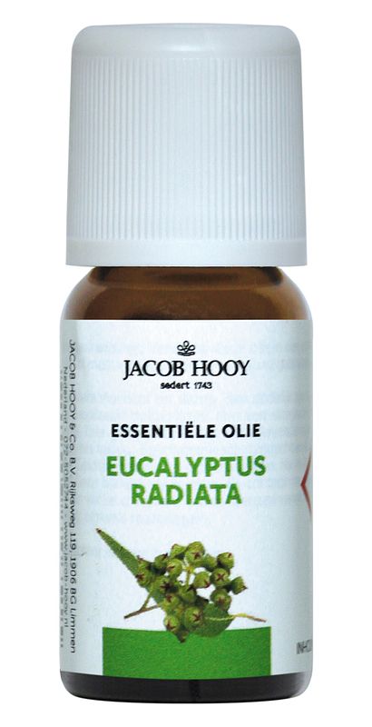 Foto van Jacob hooy essentiële olie eucalyptus radiata