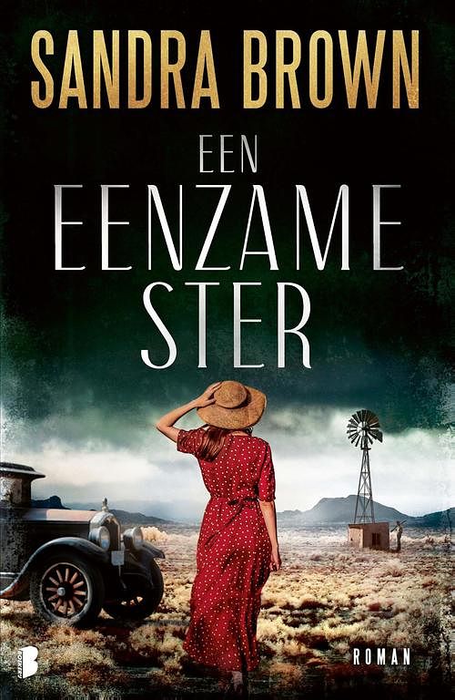 Foto van Een eenzame ster - sandra brown - ebook