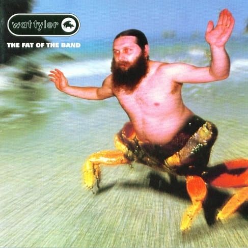 Foto van The fat of the band - cd (2092000007187)