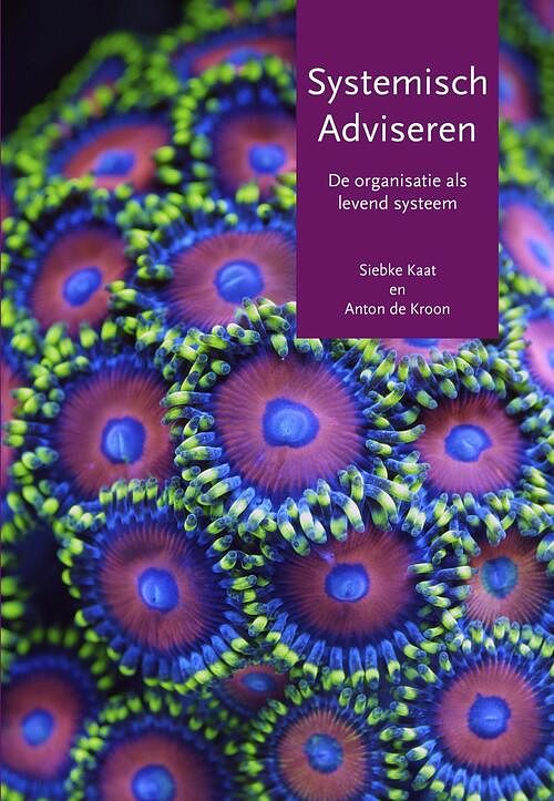 Foto van Systemisch adviseren - anton de kroon, siebke kaat - ebook (9789492331182)