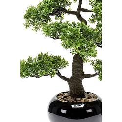 Foto van Emerald kunstplant mini bonsai ficus groen 47 cm 420006