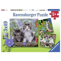 Foto van Ravensburger puzzel katten - 3 x 49 stukjes