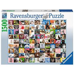 Foto van Ravensburger puzzel 99 katten 1500 pieces