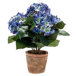 Foto van Kunstplant hortensia blauw in oude ronde terracotta pot 37 cm - kunstplanten