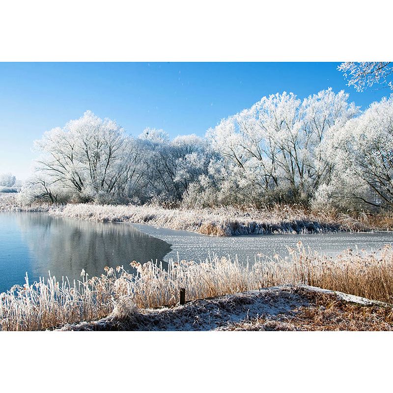 Foto van Inductiebeschermer - white tree - 58x52 cm